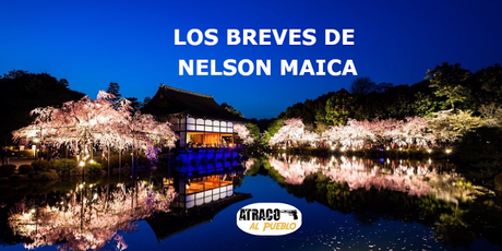 LOS BREVES DE NELSON MAICA