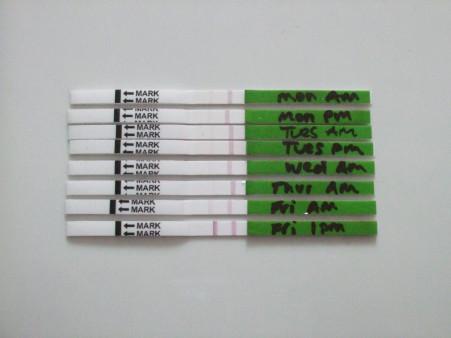 Test de embarazo y test de ovulación: todo lo que necesitas saber