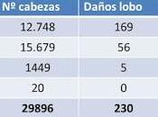 lobo principal problema ganadería?