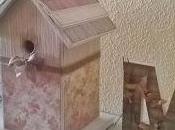 Caja casita pájaros