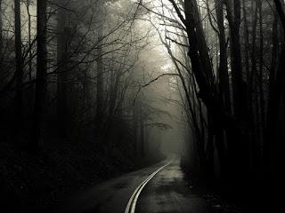 Las 7 Fobias Más Comunes Y Su Explicación Científica Las 7 Fobias Más Comunes Y Su Explicación Científica