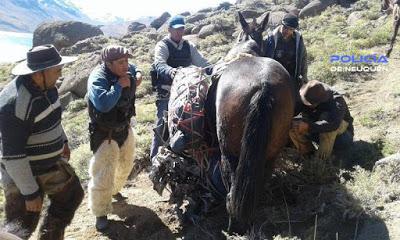 Las Ovejas: detuvieron a un hombre que estaba prófugo de la Justicia