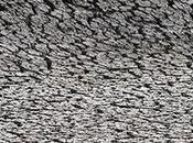 Futuras repercusiones cambio climático, quizás futuras?