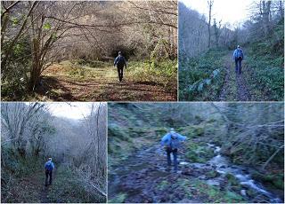 Piedracea-Tablao-Monte'l Mofusu