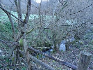 Piedracea-Tablao-Monte'l Mofusu