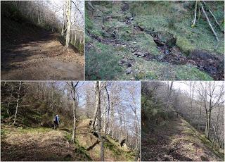 Piedracea-Tablao-Monte'l Mofusu