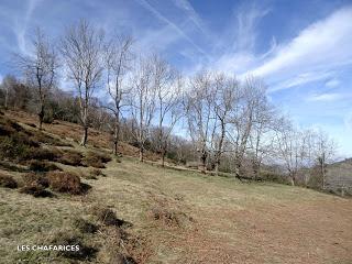 Piedracea-Tablao-Monte'l Mofusu