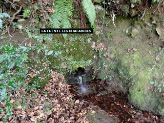 Piedracea-Tablao-Monte'l Mofusu