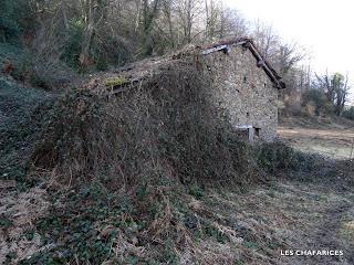 Piedracea-Tablao-Monte'l Mofusu