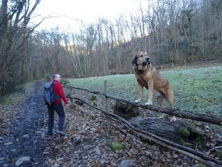 Piedracea-Tablao-Monte'l Mofusu