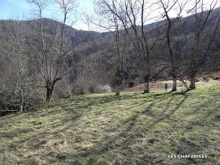 Piedracea-Tablao-Monte'l Mofusu