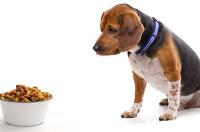 Racionar el alimento de nuestro perro