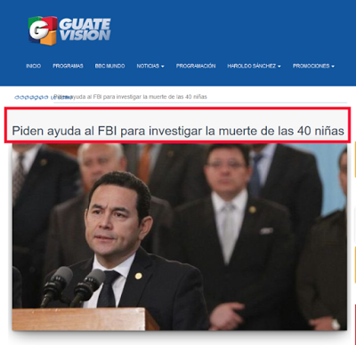 Mundo feliz, es el ¡parto de una jirafa!