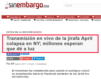 Mundo feliz, es el ¡parto de una jirafa!