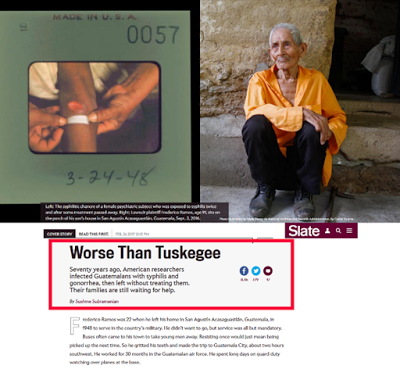 Mundo feliz, es el ¡parto de una jirafa!