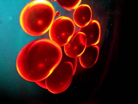 ¿Cuanta vitamina B12 necesitan los ciclistas?