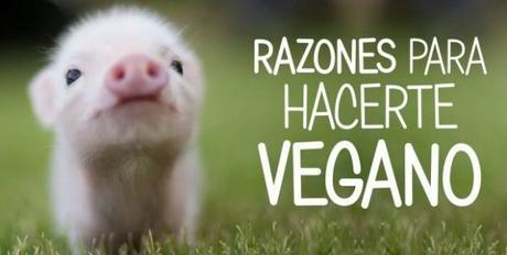 Razones y Beneficios