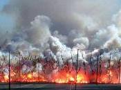 fallas