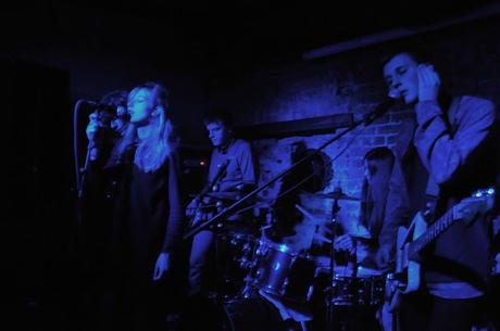 Life on Venus: Encounters