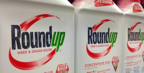 Monsanto pierde un round