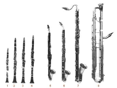 familia clarinete