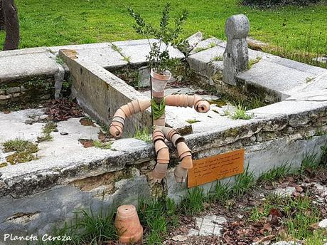 Rincones. La Quinta de Torre Arias