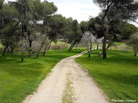 Rincones. La Quinta de Torre Arias