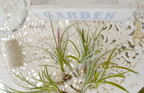 DIY FÁCIL MACETERO DE MADERA COLGANTE