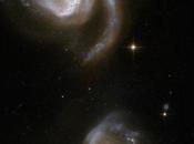 natación sincronizada 6786