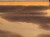 PODER, @novomedinilla @ElDiestro_