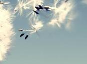 «Preguntas viento» Carmelo Beltrán Relato