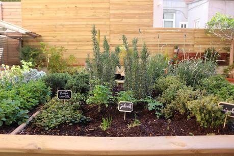 La vecina, un restaurante con terraza perfecto para familias