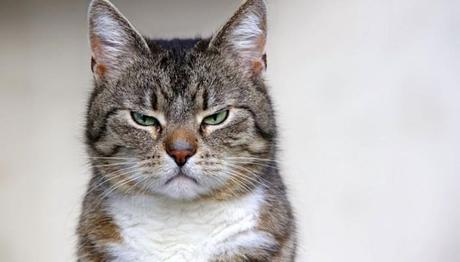 los cambios de humor son comunes 