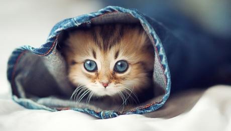 ayudalo a pasar este momento 