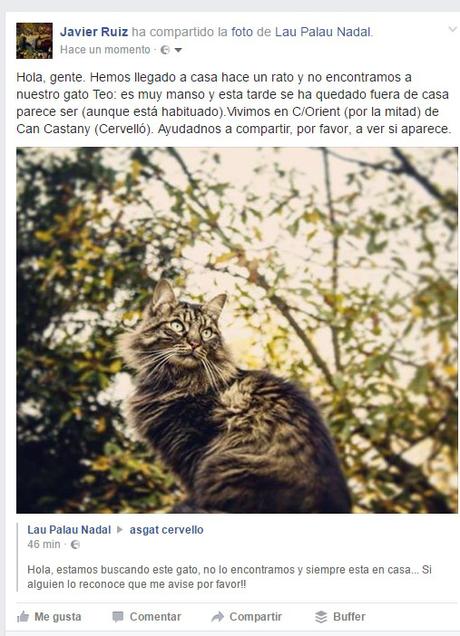 TEO se ha perdido