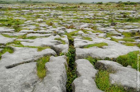 The Burren Grinks Irlanda Condado Clare