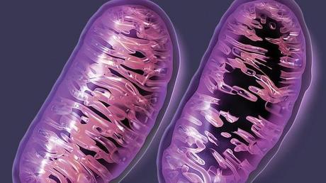 ¿Qué sucede en nuestro cuerpo durante una subida en bicicleta?