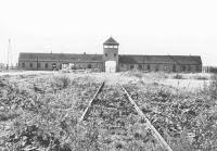 El horror del holocausto