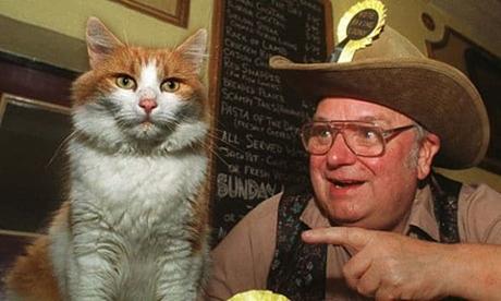 Ven A Conocer A Los 15 Gatos Más Famosos De La Historia. Desde Actores Codiciados Hasta Los Reyes De Las Redes Sociales!