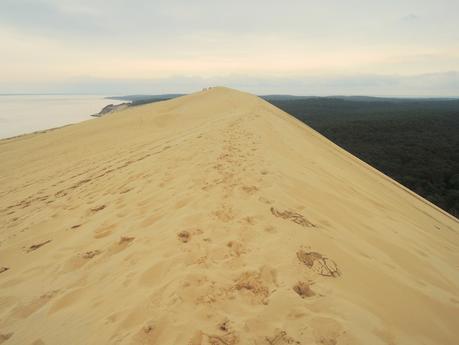 VIII. La sorprendente duna de Pilat El llano litoral francés desde la duna del Pilat