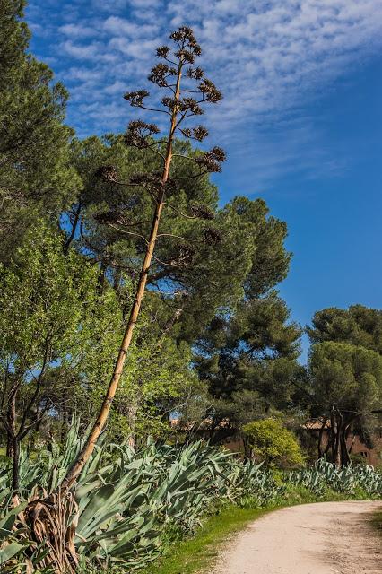 Parque Quinta de Torre Arias