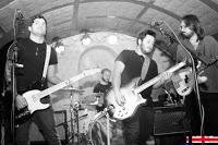 Shepherd en El Perro de la parte de atrás del coche