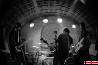 Shepherd en El Perro de la parte de atrás del coche