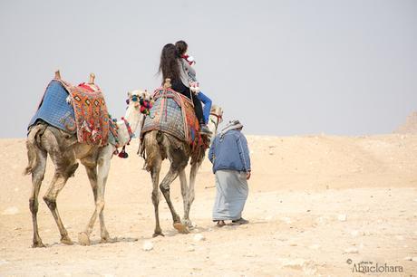 Fotografia_Viaje_Egipto.Abuelohara