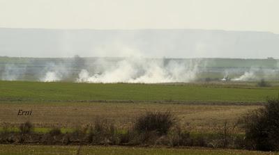 TIERRA DE CAMPOS: LUCES Y SOMBRAS