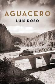 AGUACERO. LUIS ROSO