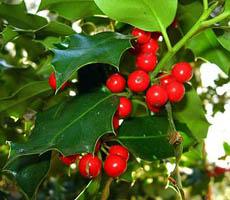 Reduciendo el riesgo de Parkinson