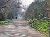 Remodelación "Paseo Agujeta"