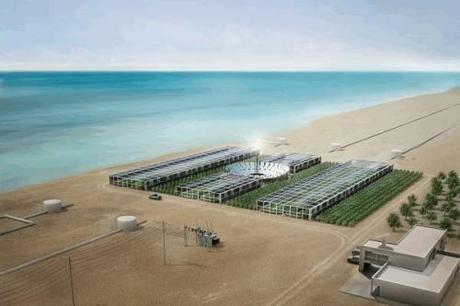 seawater greenhouse 500x333 Sahara Forest Project Energía Solar Concentración 