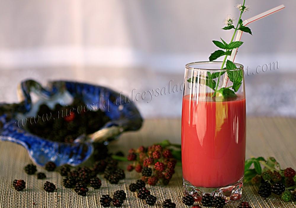 LECHE DE AVENA Y MORAS